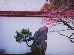 -杭州植物园