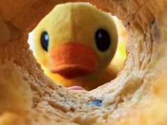 -皇家美孚(阳光100店)