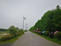 -水八仙生态园