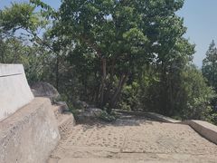 -府君山公园