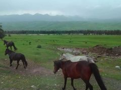 -新疆那拉提国家旅游度假区
