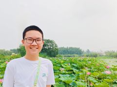 -白洋淀景区