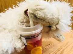 -卡旺卡(合肥天鹅湖置地广场店)