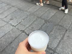 -洪馨椰子