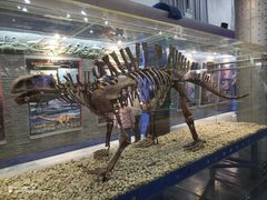 -国家自然博物馆