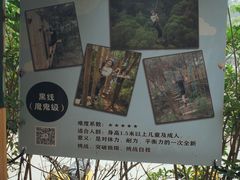 -芦仙山景区-飞越丛林探险乐园