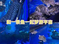 -成都浩海立方海洋公园