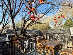-悦真雅院·四合院·清真私房菜(雍和宫店)