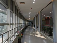 -上海中医药大学附属曙光医院(东部)