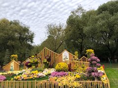 -上海共青森林公园