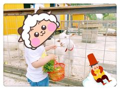 -前小桔亲子创意农场·草莓采摘·露营烧烤