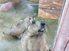 -雪浪山卡丁车俱乐部