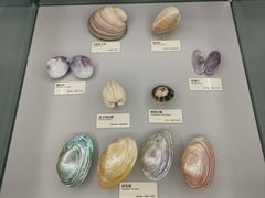 -天津古林古海岸遗迹博物馆