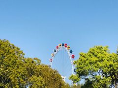 -上海野生动物园