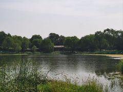 -北坞公园