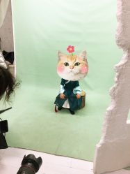 -倾城宝贝儿童摄影(浦东金谊店)