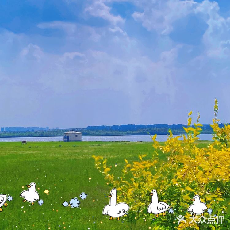 看荷花的好地方！