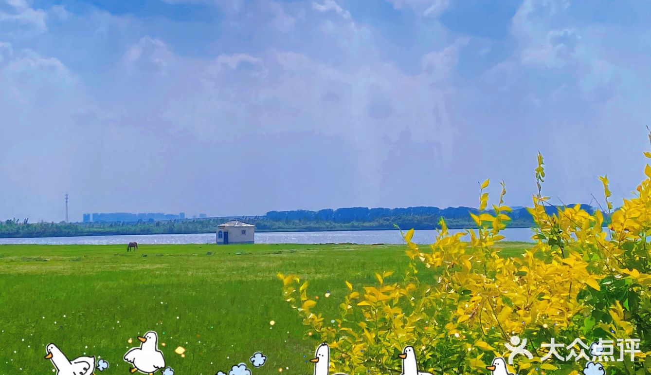 看荷花的好地方！