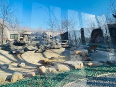 -北京野生动物园