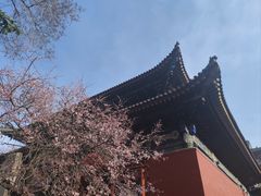 -五台山风景名胜区