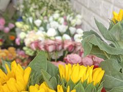 -雪蔓之鲜花气球派对(家佳源时代中心店)