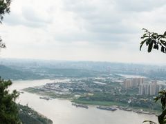 -铁山坪森林公园