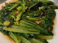 -大榕树下顺德菜(融创茂店)