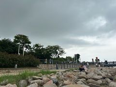 -深圳湾公园(南山区)