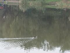 -新江湾城公园