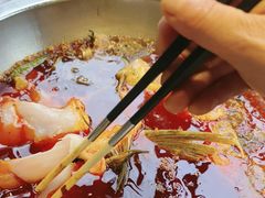 -蜀滋香鲜鱼美蛙火锅(339店)