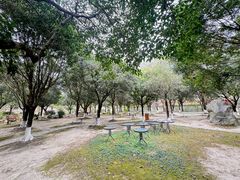 -两河城市森林公园