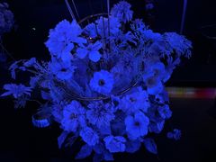 -黑桃K生日订制KTV