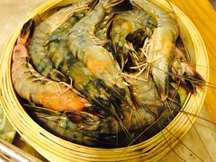 -易门野生菌府·菌海森林(月牙潭公园店)