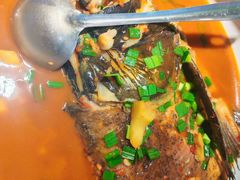 -千岛湖小鱼儿·淳安匠心农家菜