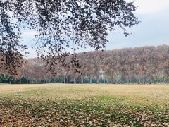 -河南省黄河迎宾馆