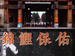 -南宫五洲植物乐园