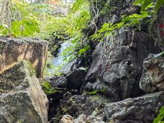 -海口火山口国家地质公园