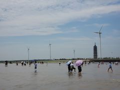 -碧海金沙
