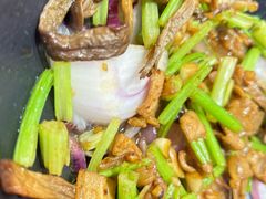 -高嗲嗲·湘味爆炒王(新城科技园店)