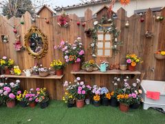 -HERRE·FARM 赫尔露营农场·团建聚会包场