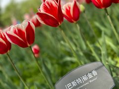 -国家植物园