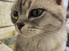 -平行世界·猫咖(首经贸店)
