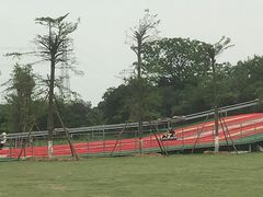 -长洲岛都市农业公园