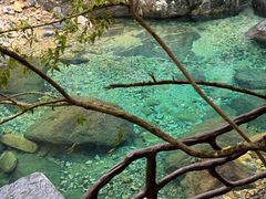 -石台牯牛降景区