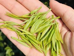 -帐篷客·溪龙茶谷度假酒店