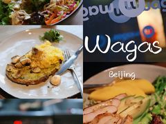-Wagas沃歌斯(富力广场店)