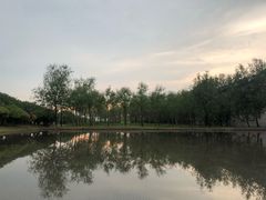 景点-小洋口旅游度假区