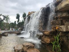 -枫香湖儿童公园