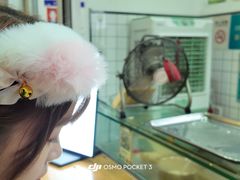 -奎星楼街