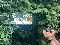 -斯多格书乡(北京大学畅春园店)
